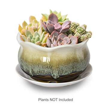 Rustic Ceramic Planter for Succulents Small Plants