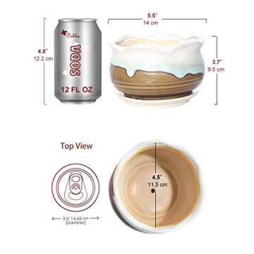 Rustic Ceramic Planter for Succulents Small Plants