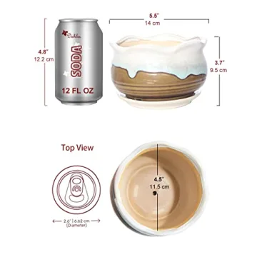 Rustic Ceramic Planter for Succulents Small Plants