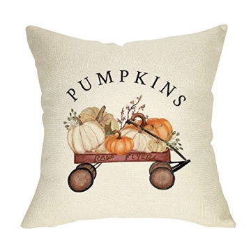 Ussap Cozy Pumpkin Farmhouse Throw Pillow Cover 18”