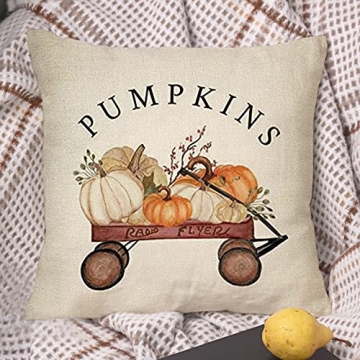Ussap Cozy Pumpkin Farmhouse Throw Pillow Cover 18”