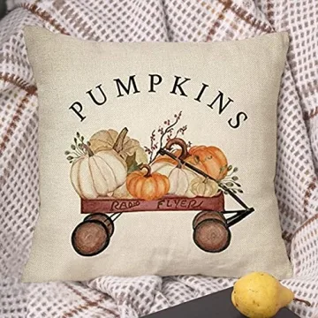 Ussap Cozy Pumpkin Farmhouse Throw Pillow Cover 18”