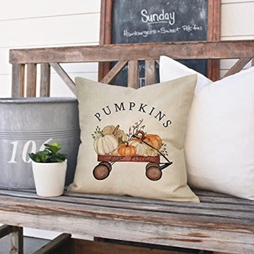 Ussap Cozy Pumpkin Farmhouse Throw Pillow Cover 18”