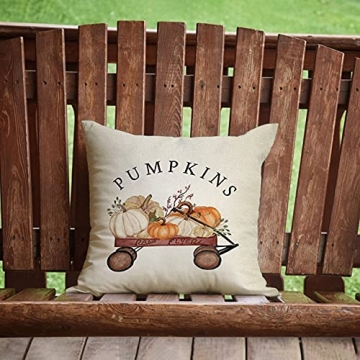 Ussap Cozy Pumpkin Farmhouse Throw Pillow Cover 18”