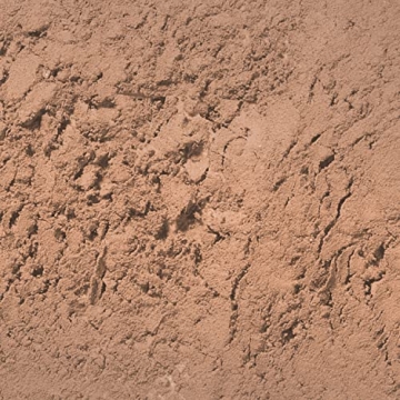 Palladio Brow Powder for Flawless, Defined Eyebrows