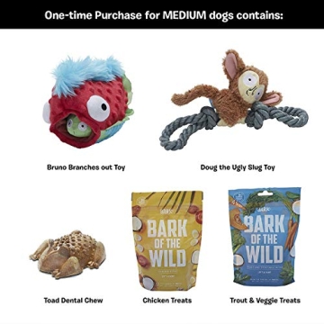 Barkbox Starter Kit Assortment Dog Plush Toys, Chew Toys, Squeak Toys, All-Natural Treats/Chews Made in The USA (2 Toys, 2 Treats & 1 Chew (USA Made), Medium Dog)