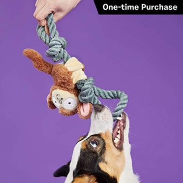 Barkbox Starter Kit Assortment Dog Plush Toys, Chew Toys, Squeak Toys, All-Natural Treats/Chews Made in The USA (2 Toys, 2 Treats & 1 Chew (USA Made), Medium Dog)