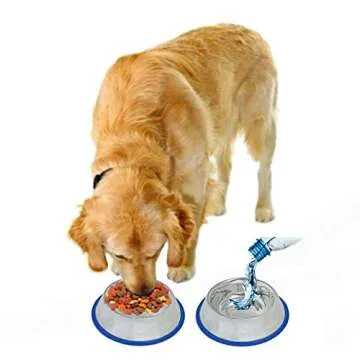 Set of 2 Etched Stainless Steel Dog Bowls, Easy to Clean with Non-Skid No-Tip Silicone Ring, Feeding Bowls for Dogs (2 Pak / 32oz Each Bowl)