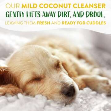 TropiClean Hypoallergenic Dog Wipes for Paws and Butt | Fragrance Free Dog Grooming Wipes | Safe for The Face | Puppy & Cat Friendly | 100 Count