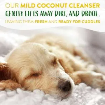 TropiClean Hypoallergenic Dog Wipes for Paws and Butt | Fragrance Free Dog Grooming Wipes | Safe for The Face | Puppy & Cat Friendly | 100 Count