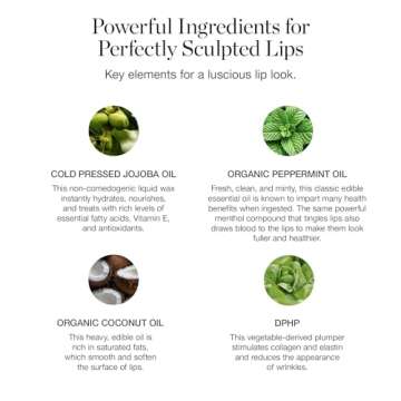 Ogee Tinted Sculpted Lip Oil - Lip Stain Made with 100% Organic Coconut Oil, Jojoba Oil, and Vitamin E - Best as Lip Balm, Lip Color or Lip Treatment - CAMELLIA