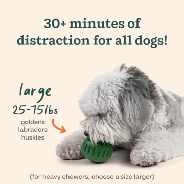 Interactive Dog Toys and Treats for Your Pup