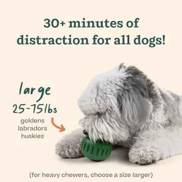 Interactive Dog Toys and Treats for Your Pup