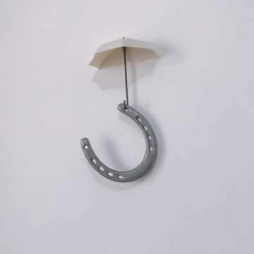 Cast Iron Horseshoe Wall Decor for Luck and Style