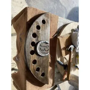 Cast Iron Horseshoe Wall Decor for Luck and Style