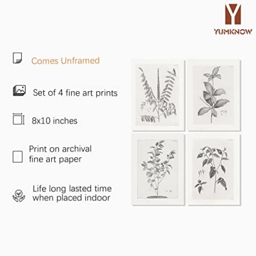 Vintage Farmhouse Botanical Art for Elegant Home Decor