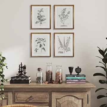 Vintage Farmhouse Botanical Art for Elegant Home Decor