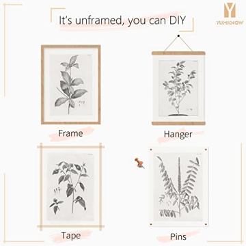 Vintage Farmhouse Botanical Art for Elegant Home Decor