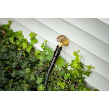 Rain Bird HT07525PSI Drip Irrigation 25 PSI Pressure Regulator, 3/4" Female Hose Thread x 3/4" Male Hose Thread