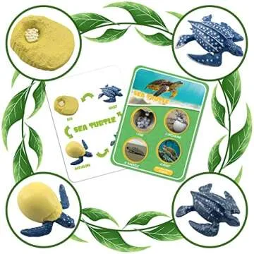 Life Cycle Figures of Frog, Chicken, Sea Turtle, Butterfly, Wasp, Locust, Science Toys kit, Animal Figures for Kids Age 3-12