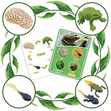 Life Cycle Figures of Frog, Chicken, Sea Turtle, Butterfly, Wasp, Locust, Science Toys kit, Animal Figures for Kids Age 3-12