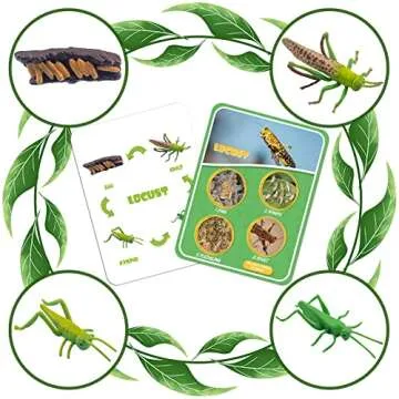 Life Cycle Figures of Frog, Chicken, Sea Turtle, Butterfly, Wasp, Locust, Science Toys kit, Animal Figures for Kids Age 3-12
