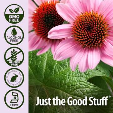 Nature's Answer Echinacea and Goldenseal | Supports Immune System | Non-GMO, Alcohol-Free, Gluten-Free & Kosher Certified 4oz Extract | Single Count