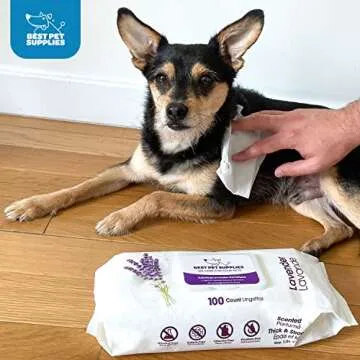 Best Pet Supplies Pet Grooming Wipes for Dogs & Cats, 100 Pack, Plant-Based Deodorizer for Coats & Dry, Itchy, or Sensitive Skin, Clean Ears, Paws, Body, & Butt - Calming Lavender