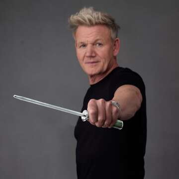 HexClad 9-Inch Honing Rod - Premium Japanese Damascus Stainless Steel with Pakkawood Handle