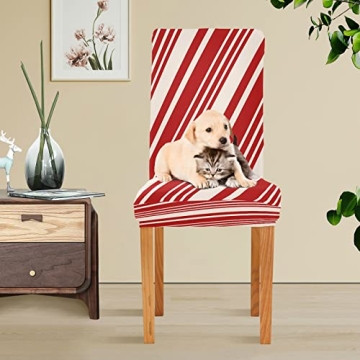 Festive Christmas Candy Cane Chair Covers for Home & Kitchen