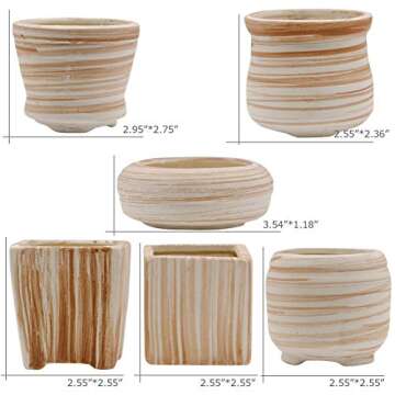 winemana 6 Pcs Set 3 Inch Ceramic Succulent Plant Pot, Wooden Pattern Succulent Planter Container Bonsai Cactus Pots
