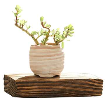 winemana 6 Pcs Set 3 Inch Ceramic Succulent Plant Pot, Wooden Pattern Succulent Planter Container Bonsai Cactus Pots