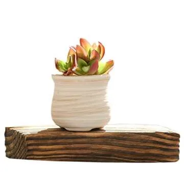 winemana 6 Pcs Set 3 Inch Ceramic Succulent Plant Pot, Wooden Pattern Succulent Planter Container Bonsai Cactus Pots