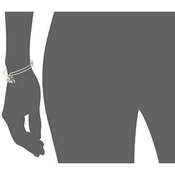 Alex and Ani Womens Chai EWB Bangle Bracelet, Rafaelian Silver, Expandable