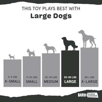 Durable Barkbox Super Chewer Dog Toy for Aggressive Chewers