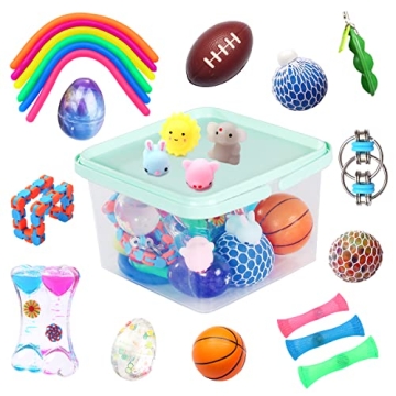 Sensory Fidget Toys Bundle - 24 Pack for All Ages