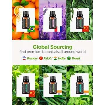 Onepure Essential Oils Gift Set - 6 Natural Aromatherapy Scents