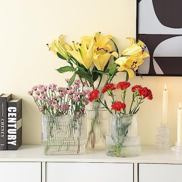 YANWE1 Glass Vase, Ribbed Vase, Flower Vase, Fluted Glass Vase, Clear Vase, Ribbed Glass Vase for Flowers, Modern Vase for Living Room, Dining Table, Entryway, Shelf, Wedding, Office, 7.5 Inches