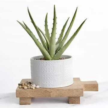 Kurrajong Farmhouse Wood pedestal stand | Planter stand | Wood pedestal board for plants | Wood riser board for home decor | Mango Wood pedestal display stand for plants