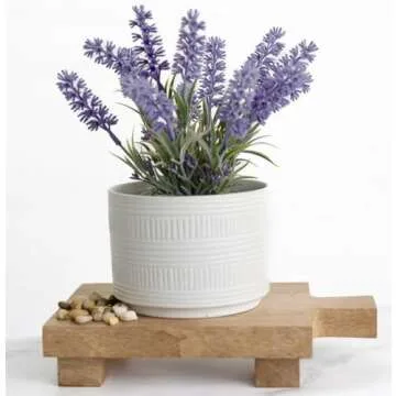 Kurrajong Farmhouse Wood pedestal stand | Planter stand | Wood pedestal board for plants | Wood riser board for home decor | Mango Wood pedestal display stand for plants