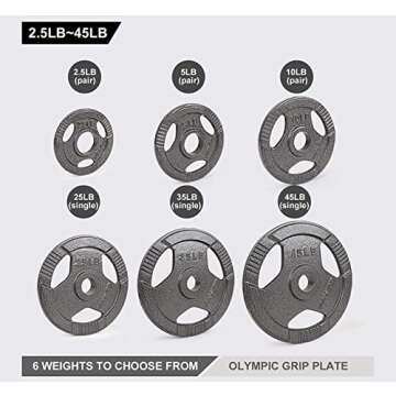 LIONSCOOL 2-Inch Olympic Grip Plate in Pairs or Single (10LB PAIR)