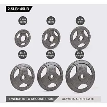 LIONSCOOL 2-Inch Olympic Grip Plate in Pairs or Single (10LB PAIR)