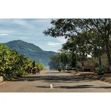 BURLEY Bee 2-Seat Kids Bike Trailer Lightweight Durable Yellow