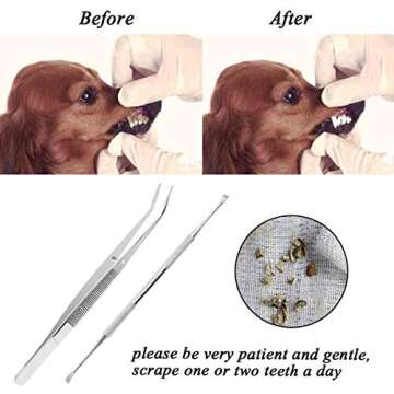 TANTAI_CARE Dog Dental Care Scraper and Tweezers Set - 2 Pack Upgrade Pet Tartar Remover with Different Angles Double Head, Stainless Steel Teeth Cleaning Tools for Dogs/Cats