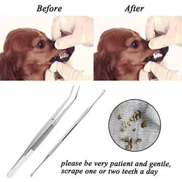 TANTAI_CARE Dog Dental Care Scraper and Tweezers Set - 2 Pack Upgrade Pet Tartar Remover with Different Angles Double Head, Stainless Steel Teeth Cleaning Tools for Dogs/Cats