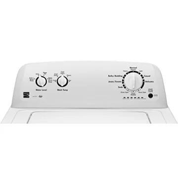 Kenmore Top-Load Washer with Dual Action Agitator