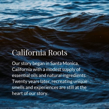 Archipelago Winter Frost Candle - Premium Holiday Gift