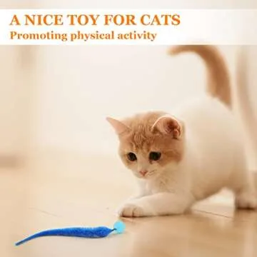 Interactive SHENGSEN Bouncy Cat Toys - 5 Pack