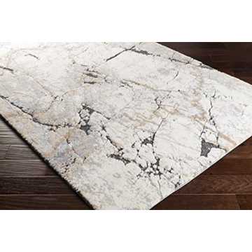 Hauteloom Cavetown Area Rug - Luxurious High Pile Design