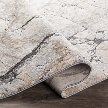 Hauteloom Cavetown Area Rug - Luxurious High Pile Design